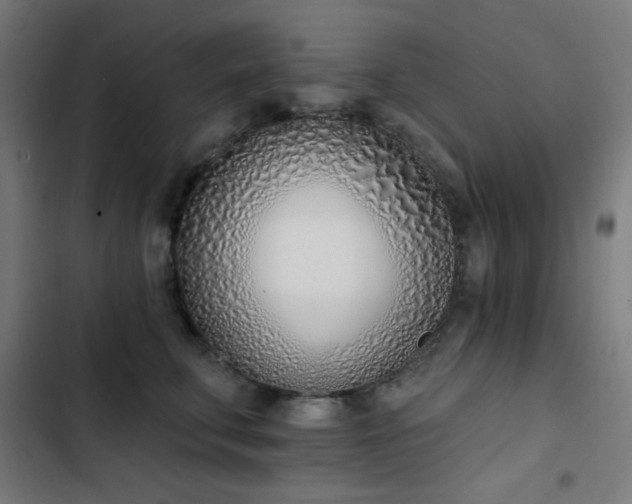 X0000103400711200809121242