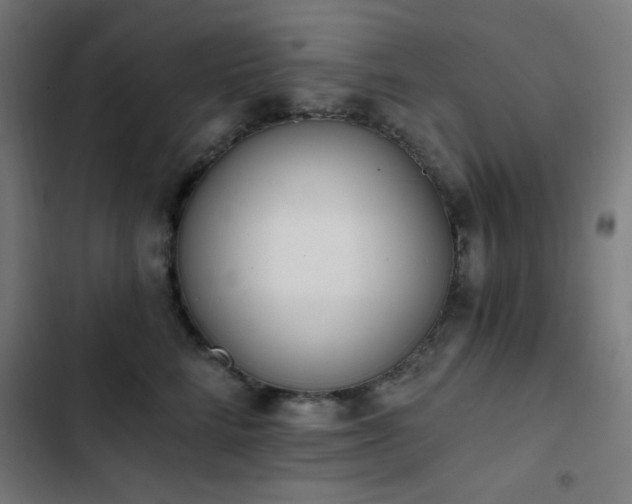 X0000103400712200809121242