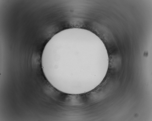 X0000103400713200809121242