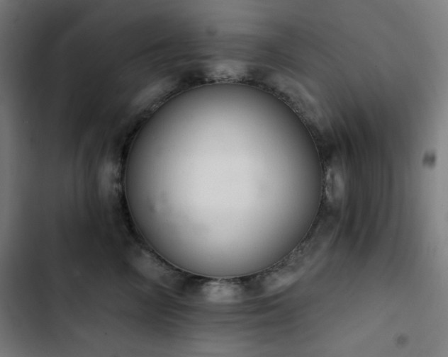 X0000103400714200809121242