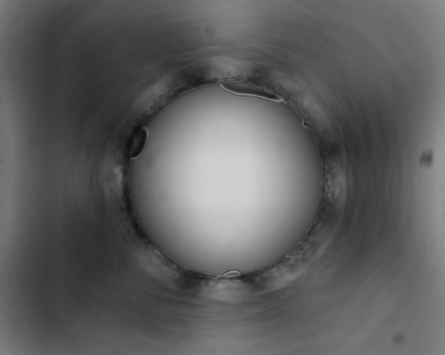 X0000103400716200809121242