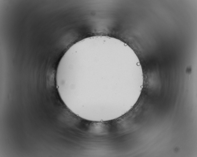 X0000103400717200809121242