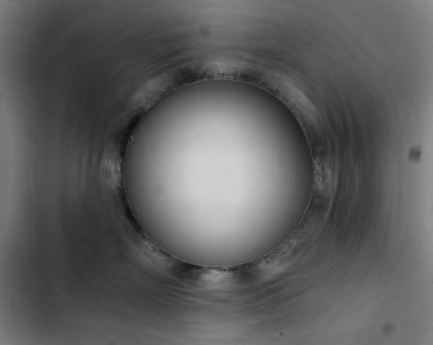 X0000103400718200809121242