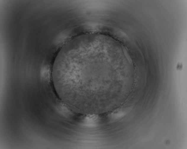 X0000103400720200809121242