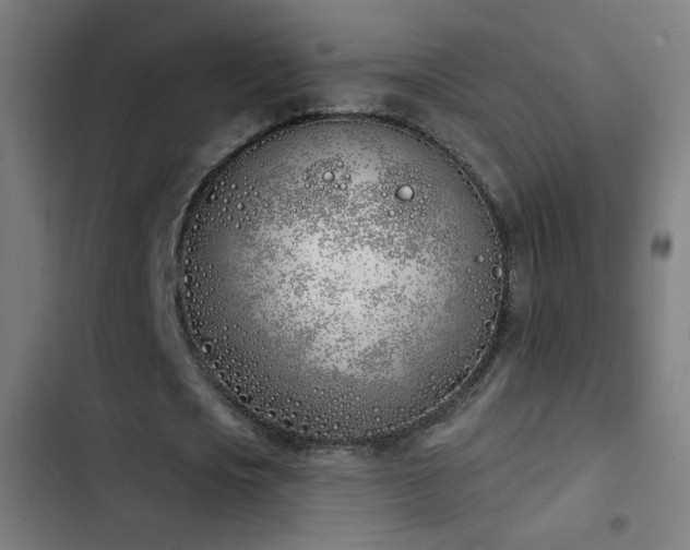 X0000103400721200809121241