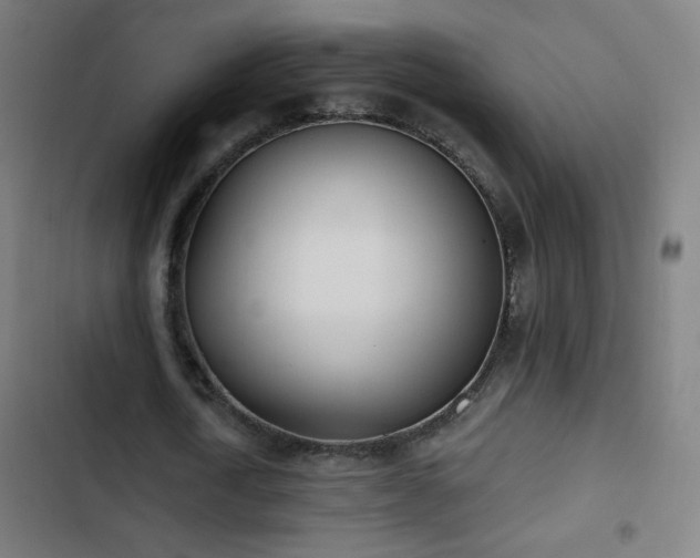 X0000103400722200809121241