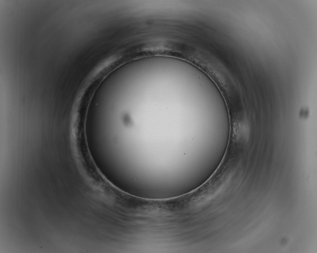 X0000103400724200809121241