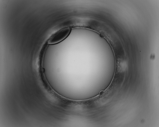 X0000103400726200809121241