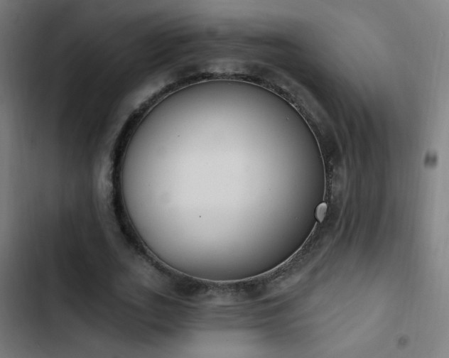 X0000103400727200809121241