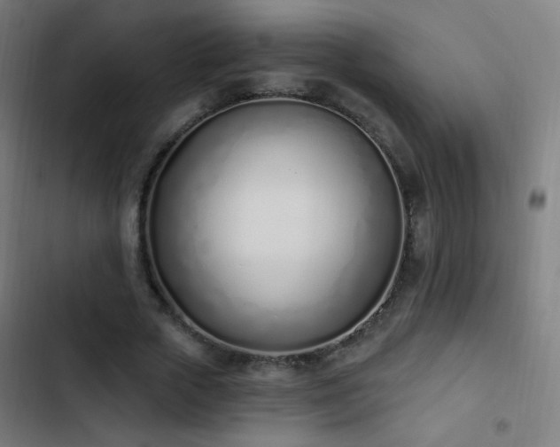 X0000103400729200809121241