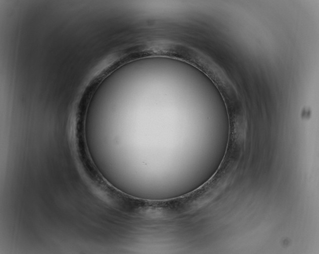 X0000103400730200809121241