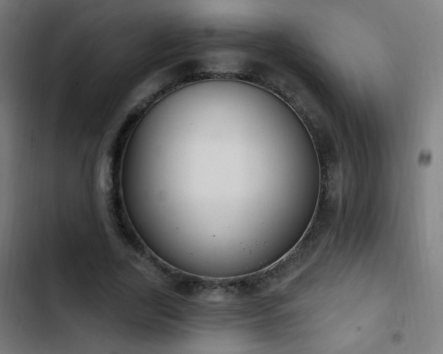 X0000103400731200809121241