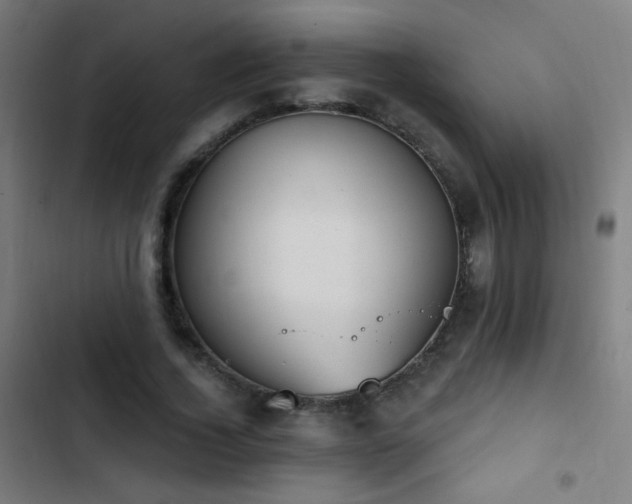 X0000103400732200809121241