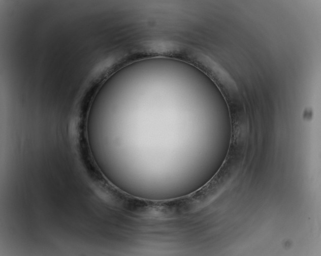 X0000103400736200809121241