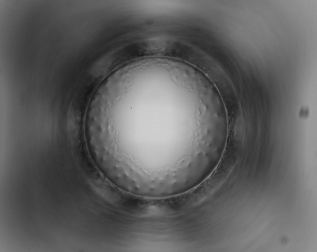 X0000103400737200809121241