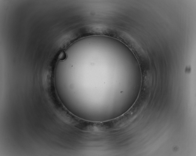 X0000103400739200809121241