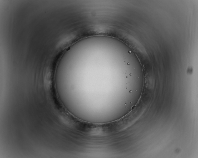 X0000103400740200809121241