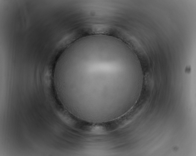 X0000103400741200809121241