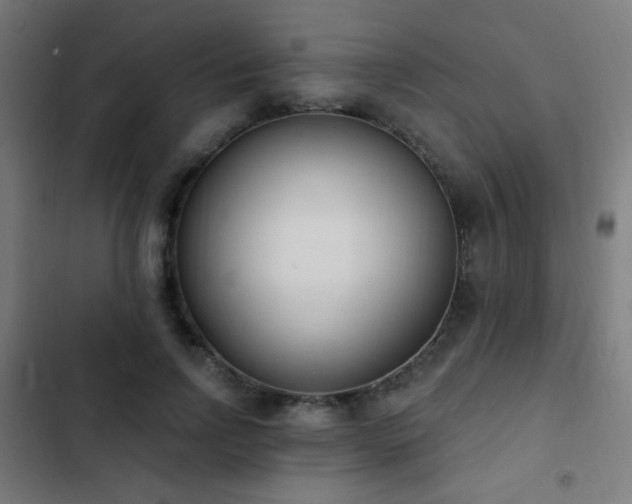 X0000103400742200809121241