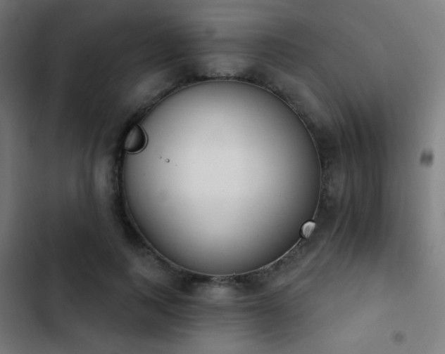 X0000103400743200809121241