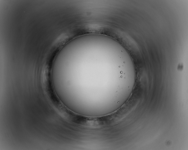 X0000103400744200809121242