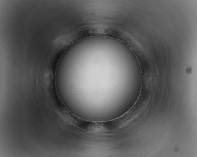 X0000103400747200809121242