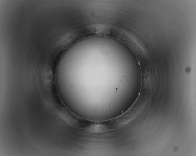 X0000103400748200809121242