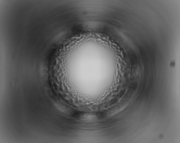 X0000103400749200809121242