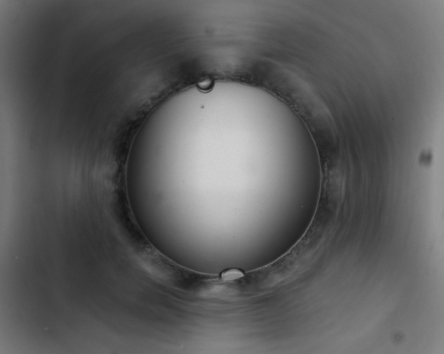 X0000103400750200809121242