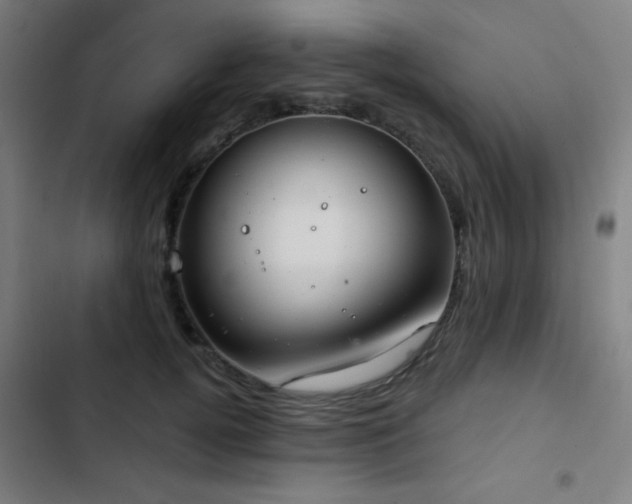 X0000103400752200809121242