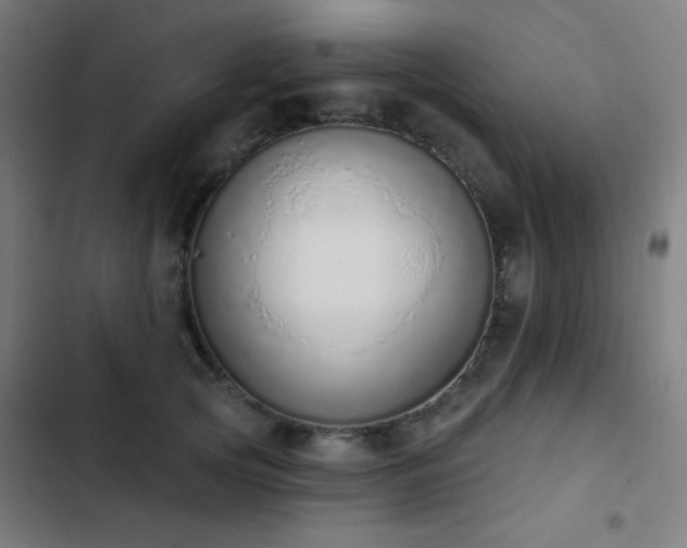 X0000103400753200809121242