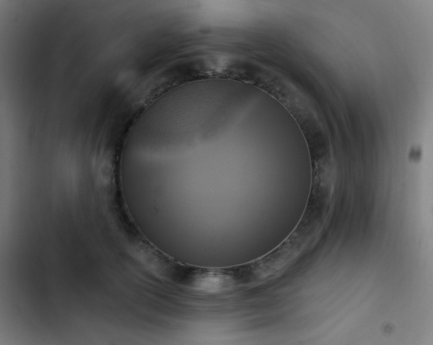 X0000103400754200809121242