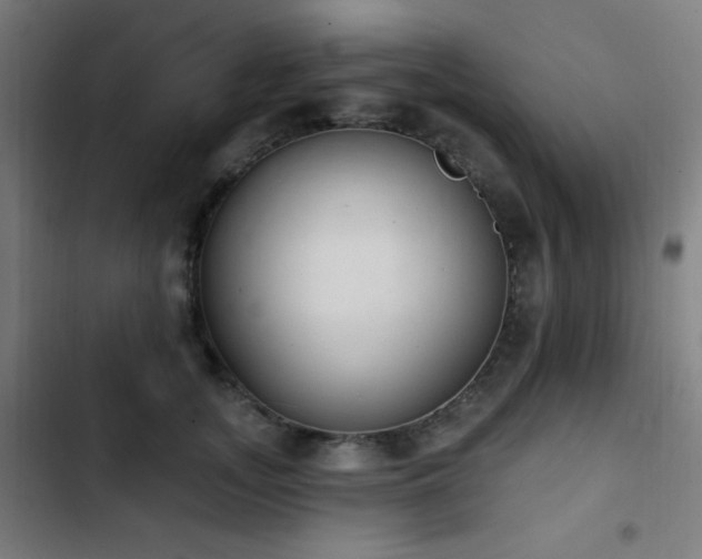 X0000103400755200809121242