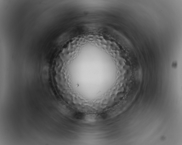 X0000103400757200809121242