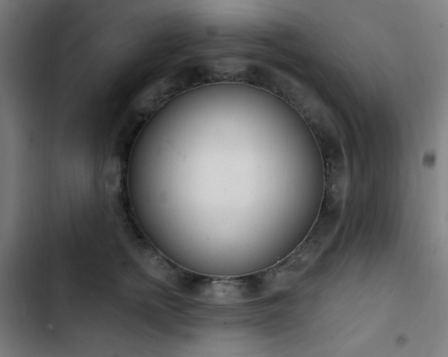 X0000103400758200809121242