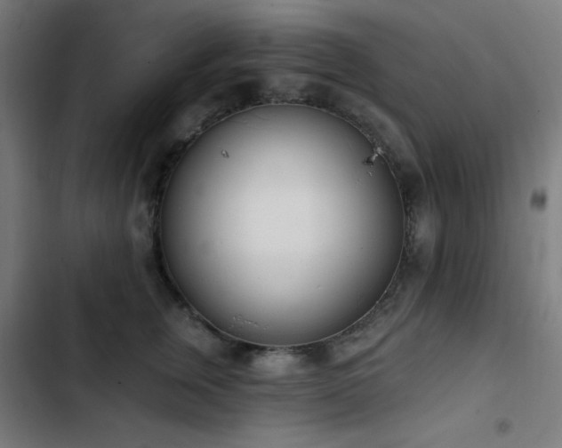 X0000103400759200809121242