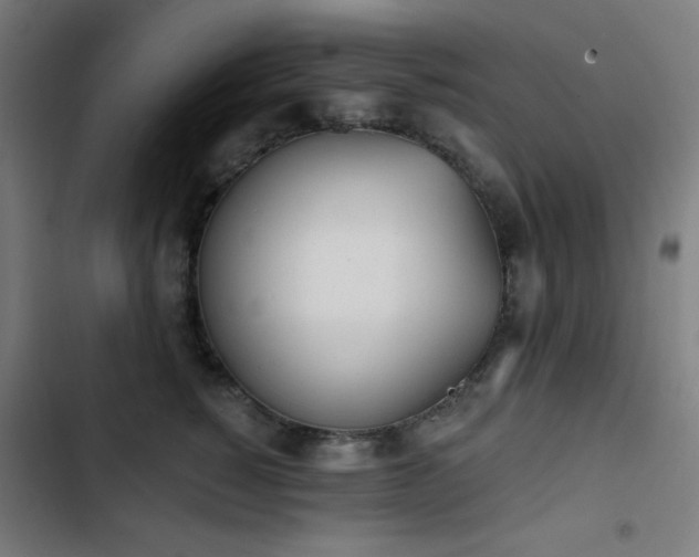 X0000103400760200809121242