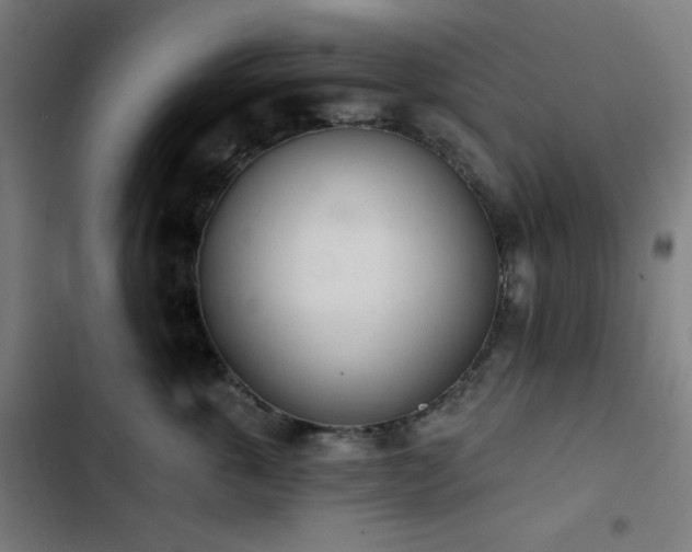 X0000103400763200809121242