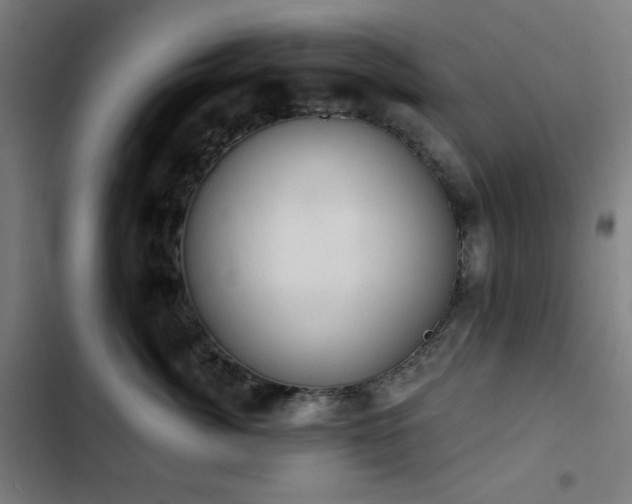 X0000103400764200809121242