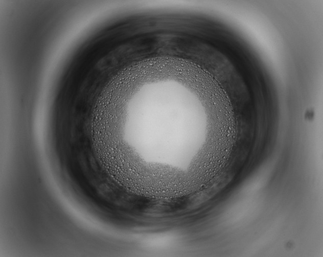 X0000103400765200809121242