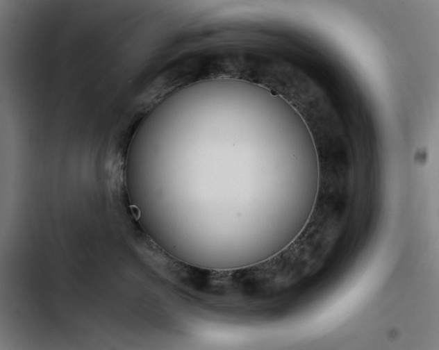 X0000103400766200809121242