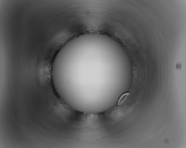 X0000103400768200809121242