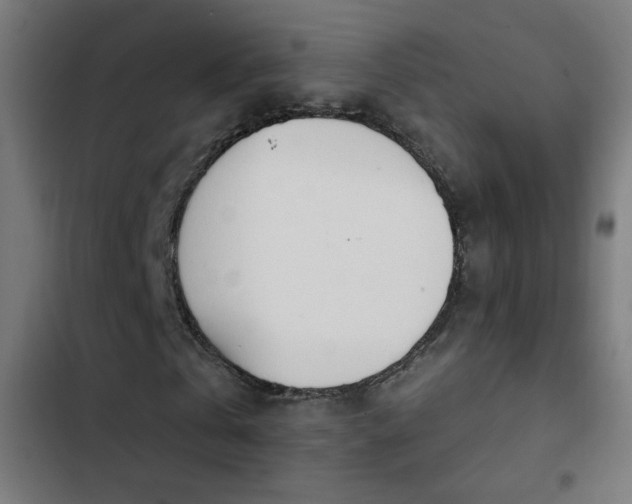 X0000103400769200809121241