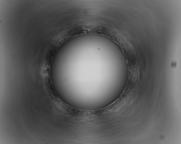 X0000103400770200809121241