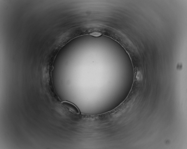 X0000103400771200809121241