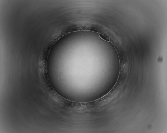 X0000103400772200809121241