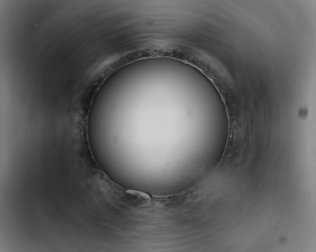 X0000103400773200809121241