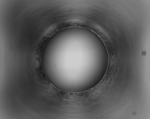 X0000103400774200809121241