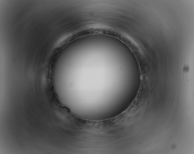 X0000103400775200809121241