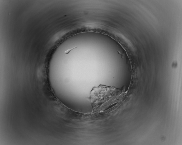 X0000103400776200809121241